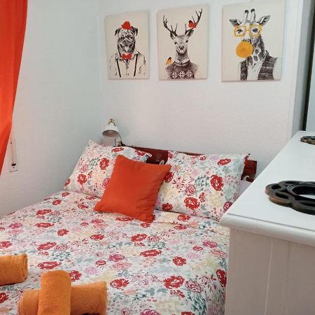 말라가 Apartamento Con Encanto 'Larios Studio' 아파트 외부 사진